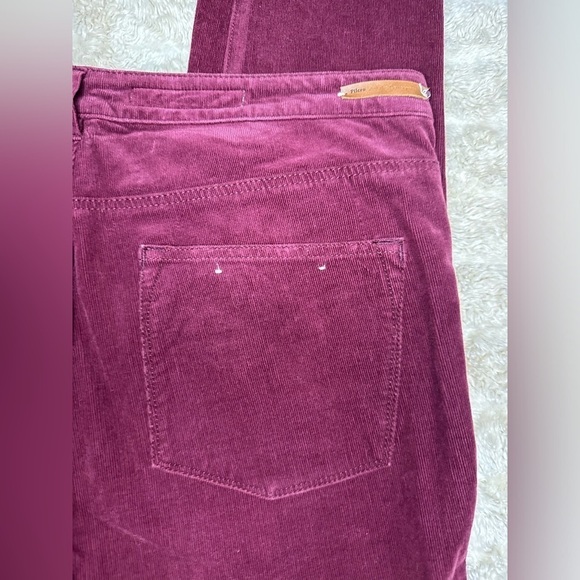 Anthropologie Pilcro and the Letterpress Serif burgundy corduroy skinny pants - Picture 6 of 7